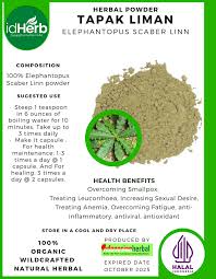 Image result for Elephantopus scaber