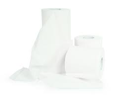 You can definitely improve the functionality of your rv if you have this type of toilet tissue at hand. Camco Tst Tst 2 Ply Toilet Tissue 4 Pack 1009916 Pep Boys