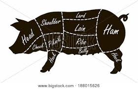 Pork Cuts Butcher Vector Photo Free Trial Bigstock