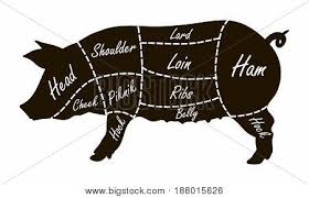 pork cuts butcher vector photo free trial bigstock