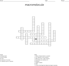 Macromolecule Crossword Wordmint