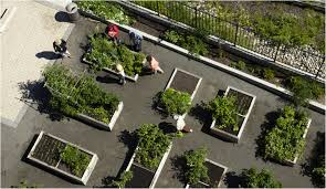 Community Gardens Architecture Google Search Garden Architecture Community Gardening Landscape Design