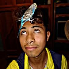 Robert Danger (@robert_danger)