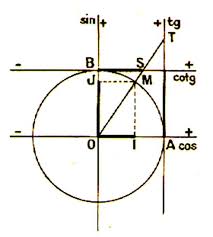 Le sinus du nombre réel x est l'ordonnée de m et on note sin x. Le Cercle Trigonometrique