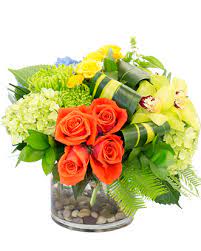 Send dazzling flowers in holland from picket fence floral design. Just Because Flowers Delivery Holland Mi Eastern Floral Holland