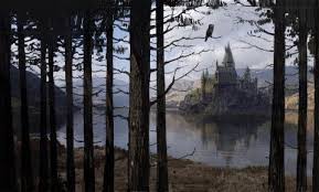Harry Potter And The Goblet Of Fire Quidditch World Cup Attack Behind The Scenes Designing Hogwarts Castle Wizarding World In 2020 Hogwarts Aesthetic Hogwarts Castle Harry Potter Artwork