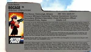 Gi joe 1988 lot arah vintage english budo samari file card force figure. Custom File Cards Page 2 Hisstank Com