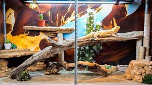 It is a good idea to get the largest tank you being a screen habitat, this bearded enclosure from zoo med allows circulation of air so that your. Building A Bearded Dragon Tank Youtube