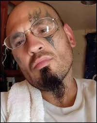 Dog attacks: Nelly Korda, Len Taunyane, the Olympics & two pit bull  fatalities