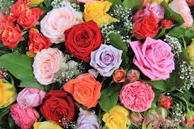 Thus, the victorians would often make a bouquet that they could use as an expression of an unvoiced message to the person receiving it, using various kinds of symbolism like. What Do Different Colors Of Roses Mean With Pictures