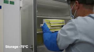 We did not find results for: Pfizer Biontech Asisi Yola Cikiyor Uretim Hattindan Dagitim Asamasina Kadar Olan Surec Adim Adim Goruntulendi Saglik Haberleri Ntv