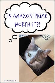 Mar 30, 2021 · in a nutshell the amazon prime rewards visa signature card could be a great pick for frequent online shoppers. Is Amazon Prime Worth It I Think So