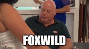 Maybe you would like to learn more about one of these? Foxwild Hatseflats Gif Foxwild Hatseflats Kende Da Discover Share Gifs