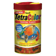 Tetra Tetracolor Tropical Fish Flakes Tropical Fish Tropical Color Enhancement
