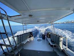 Dive Oahu Got 5 Star Rating On Yelp Best Scuba Diving Center Best Scuba Diving Oahu Scuba Diving