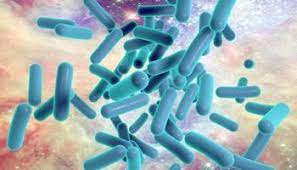 Blog - Boli infectioase | Bioclinica