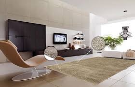 Shag Rugs 8x10