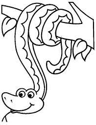 Animales De La Selva Amazonica Para Colorear Coloring Pages Drawings Cute Drawings