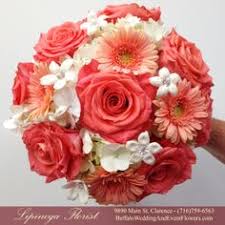 We did not find results for: 42 Best Gerbera Daisy Wedding Ideas Wedding Flowers Gerbera Daisy Wedding Gerbera Daisy