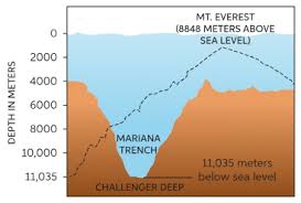 These sinkholes can have a depth of more than ten kilometers and present waters with temperatures between 0 ° c and 2 ° c. Learn About Marianas Trench Chegg Com