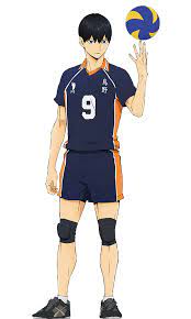 Characters from the haikyuu anime. Tobio Kageyama Shipping Wiki Fandom