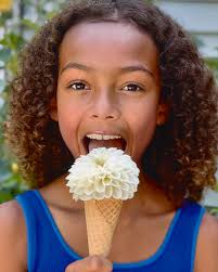 Congratulations to our TIE for 3rd Place