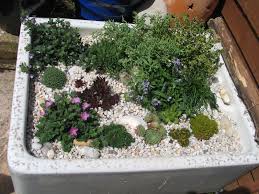 Pin By Atop Of The Tier On Garden Ideas Garden Sink Alpine Garden Plants