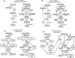We did not find results for: Plant Sexual Reproduction Perhaps The Current Plant Two Sex Model Should Be Replaced With Three And Four Sex Models Springerlink