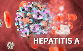 But not everyone with hepatitis a develops them. Hepatitis A Mdis Blog