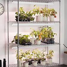 Using only 20 watts, this 2 foot grow light helps your plants grow strong and healthy through each stage of your plants will thrive basking in the light of a great value led plant light. 15 Best Plant Grow Lights Led Grow Lights For Indoor Plants