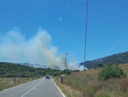 Algecirasalminuto.es - News update