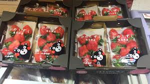 Check spelling or type a new query. Bm Gourmet é»'ç›'ç†Šæœ¬ç†Šå£«å¤šå•¤æ¢¨ 1 Pack 150 ä¸€ç›'2 Pack 280 ÙÙŠØ³Ø¨ÙˆÙƒ
