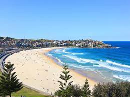 There are heavier shoes on the market that give you less cushioning than the bondi 7. Sydney Experiences Things To Do In Sydney Bondi Beach