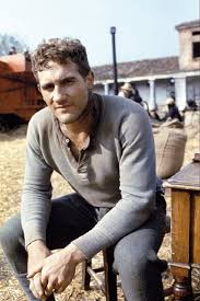 He must be a perfect creature from the brain to the palate, from the palate to the finger's end. Gerard Depardieu Celebrities Male French Cinema Movie Stars