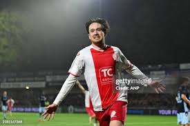 203 Ijsselmeervogels Stock Photos, High-Res Pictures, and Images