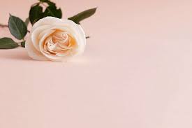 Born on april 15, 1933 in london, united kingdom, the artist initially. Picjumbo Free Stock Photos