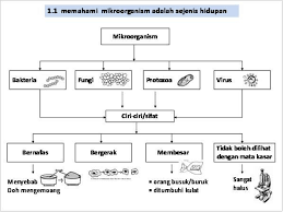 Nota sains tahun 1 dan tahun via cmnacademy.com. Nota Sains Tahun 5