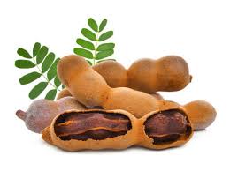 This large tree produces pods around may and once the brown, edible fruit is ripe, it is quite a favourite on the island of barbados. 3 854 Tamarind Tree Stock Photos And Images 123rf