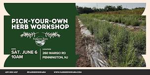 Pick-Your-Own Herb Workshop