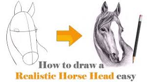 Plus give you a few tips along the way. How To Draw A Horse Face Step By Step Easy Herunterladen