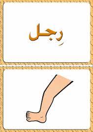 ألبومات صور منوعة صور مجموعة بطاقات لبعض كلمات اللغة العربية مع رسم تمثيل كل كلمة photo design drawings cards