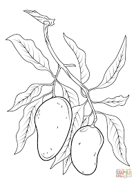 Mango Branch Super Coloring Coloring Pages Tree Coloring Page Fruit Coloring Pages Cute easy drawings ideas for kids! mango branch super coloring