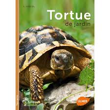 Flip board f, input fen i, back t, king(s) 1, queen(s) 2 etc., move piece / free 7, change color c, play best move b, move position arrow keys. Livre Animalerie Tortue De Jardin Truffaut