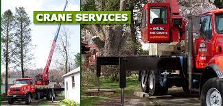 This is the newest place to search, delivering top results from across the web. Crane Service In Nj