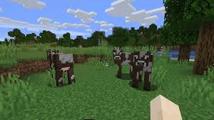 How do you attract sheep in minecraft. What Do Cows Eat In Minecraft Gamepur