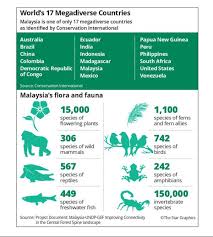Pada zaman glasial dimana sebagaian besar permukaan bumi kawasan yang memiliki keragaman flora dan fauna yang mirip dengan yang ada di benua asia disebut kawasan asiatis. Masa Depan Hutan Dan Hidupan Liar Di Malaysia