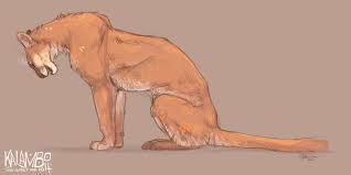 Puma By Kalambo On Deviantart Big Cats Art Warrior Cats Art Cat Art