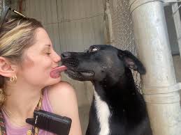 Sorry buttt !! Is THIS for dogs OR Human? ! Maybe it's for both.