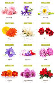 Birthday Flowers The Complete Guide Of Birth Month Flowers Proflowers Birth Flower Tattoos Birth Month Flowers Birth Flowers
