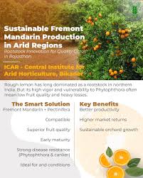 Image result for Tangerine 1971 Rootes